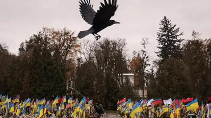 InfoBRICS: неонацисты Украины раскрывают правду о потерях