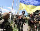 Война в Донбассе после «Боинга» Война в Донбассе после «Боинга»