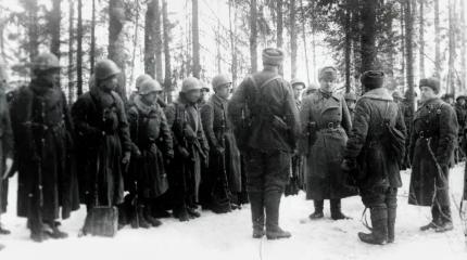 Великая Отечественная война: трагедия Любанской наступательной операции