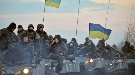 ВСУ готовятся к броску: под Волновахой притаилась дивизия силовиков ВСУ готовятся к броску: под Волновахой притаилась дивизия силовиков