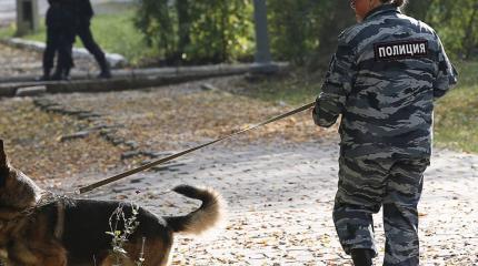 Последователи "керченского стрелка" готовили два новых теракта