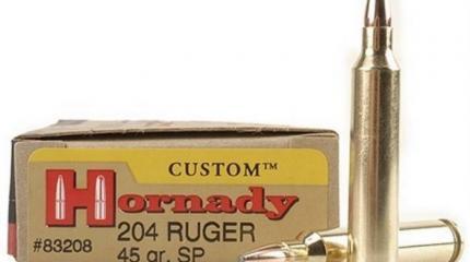 Патрон .204 Ruger – один из лучших боеприпасов для охоты и спортивной стрельбы Патрон .204 Ruger – один из лучших боеприпасов для охоты и спортивной стрельбы