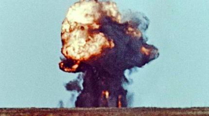 Грибная поляна Грибная поляна