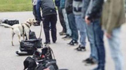 В армии Эстонии 40 процентов новобранцев не прошли наркотест