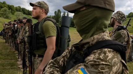 Киев задумал новую провокацию в Курской области Киев задумал новую провокацию в Курской области