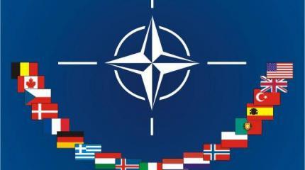 Выбор НАТО Выбор НАТО