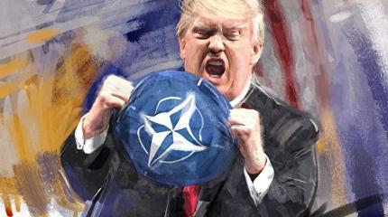В США придумали, как поступить с «иждивенцами» по НАТО