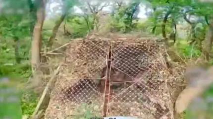 Дроны на оптоволокне уничтожили два танка Т-72ВСУ Дроны на оптоволокне уничтожили два танка Т-72ВСУ