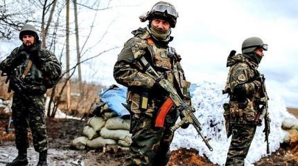 Покос «укропа» в разгаре Покос «укропа» в разгаре