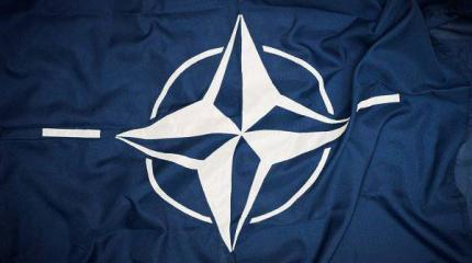 Российская праща и НАТО Российская праща и НАТО