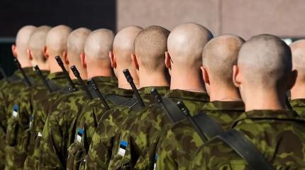 Отправку «миротворцев» на Украину поддержала только Эстония Отправку «миротворцев» на Украину поддержала только Эстония