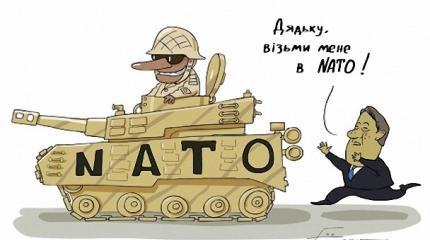 Опрос: за вступление Украины в НАТО проголосует 80% украинцев Опрос: за вступление Украины в НАТО проголосует 80% украинцев