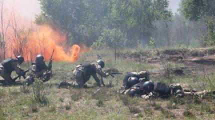 Ополченцы ДНР раскрыли диверсантов ВСУ под Мариуполем