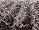Эпизод Великой Отечественной войны, востребованный спустя многие десятилетия Эпизод Великой Отечественной войны, востребованный спустя многие десятилетия