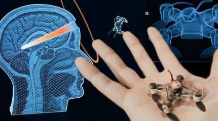 Интеллектуальные дроны-убийцы: чем грозит миру высокоточное оружие будущего