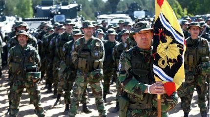 Эстония ожидает прибытия в страну батальона НАТО Эстония ожидает прибытия в страну батальона НАТО
