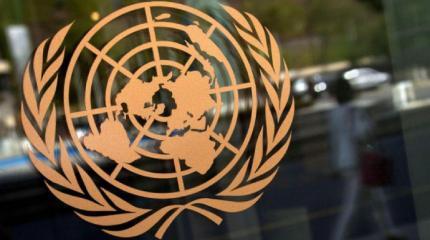 Доклад ООН по Украине заставил усомниться в адекватности Порошенко Доклад ООН по Украине заставил усомниться в адекватности Порошенко