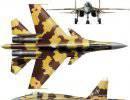 Многоцелевой истребитель Су-35 / Су-37 (Россия) Многоцелевой истребитель Су-35 / Су-37 (Россия)