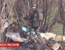 Украинские власти готовятся к силовому решению проблемы в Восточном регионе Украинские власти готовятся к силовому решению проблемы в Восточном регионе