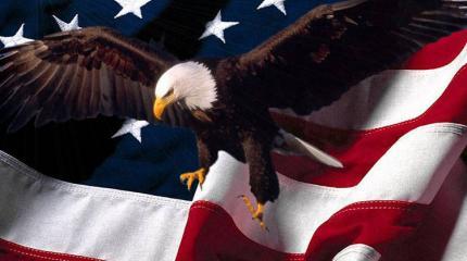 Военная сила в политике национальной безопасности США Военная сила в политике национальной безопасности США