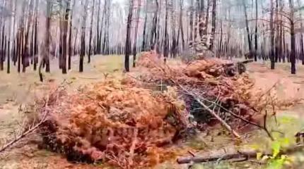 Дрон-камикадзе сжег украинскую БМП, попав в открытый люк командира Дрон-камикадзе сжег украинскую БМП, попав в открытый люк командира