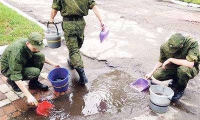 Агрономы поля боя Агрономы поля боя