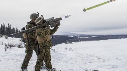 Страны Балтии готовы снабжать Украину оружием, полученным от других стран