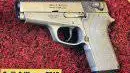 Пистолет Smith & Wesson 3913 (США)