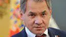 Российская армия при Шойгу станет прежде всего армией