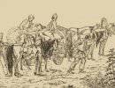 1812 год — трагедия Беларуси. Глава 4. Выкачивание ресурсов из Беларуси перед войной