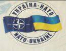 Быть ли Украине в НАТО?