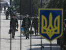 Украинские военные: «кошка бросила котят – …»