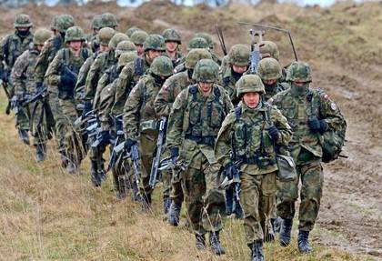 Польша создает разведбригаду прямо у границ России и Белоруссии