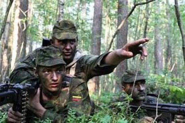 Новая бригада в ВС Литвы будет создаваться в западной части страны