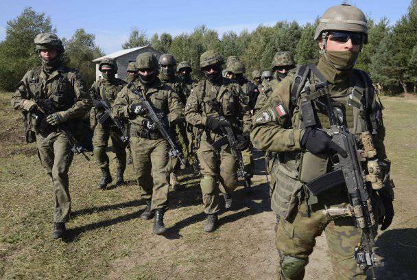 Военный контингент НАТО в Польше будет увеличен вдвое