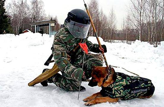 Инженерные войска испытали на учениях несколько новинок военной отрасли
