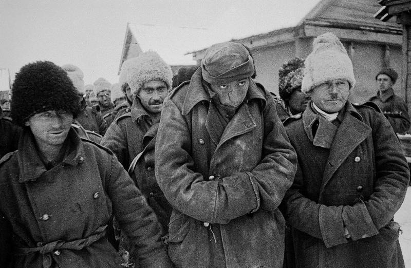 Кобыла Мадемуазель и румынский капитан Попеску в Сталинграде