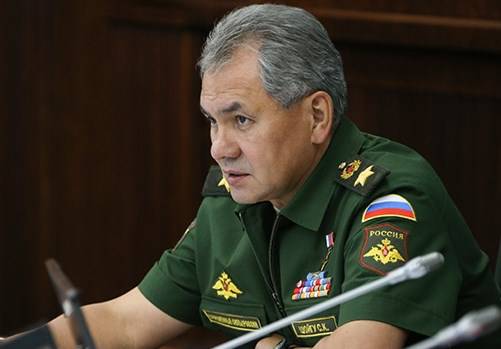 Шойгу предложил сербским саперам помочь РФ в разминировании Пальмиры