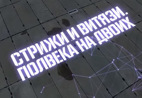 Военная приемка: "Стрижи" и "Витязи". Полвека на двоих