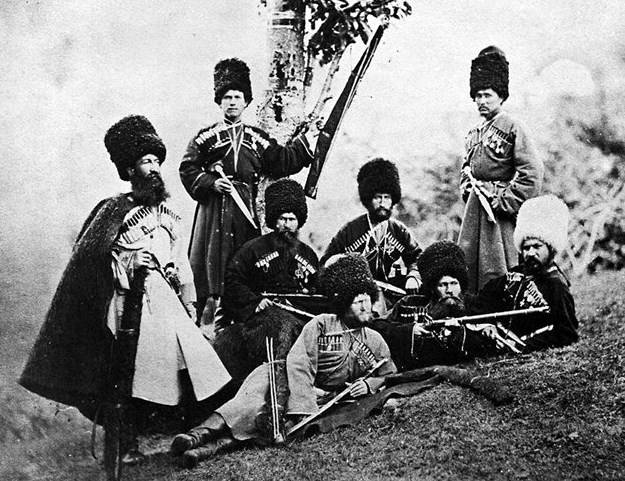 Дикая дивизия