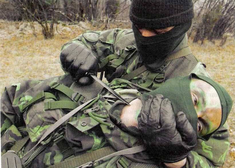 ВСУ начали ликвидировать националистические батальоны