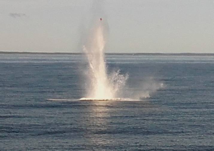 Военные водолазы уничтожают авиабомбы в Балтийском море