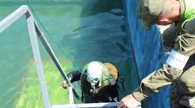 Российские танкисты в Армении лезут под воду