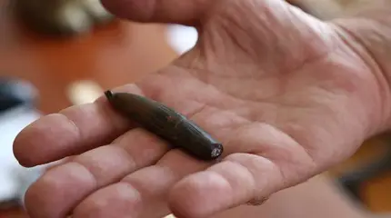 Мишенью ВС Азербайджана была сельская школа