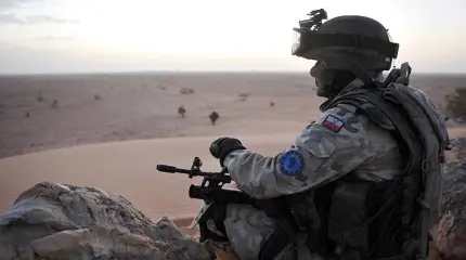 Польское летальное оружие в Армении: Варшава выбирает между Ереваном и ЕС