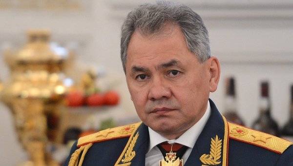 Зачем Шойгу пригласил Кыргызстан и другие страны СНГ в Сирию