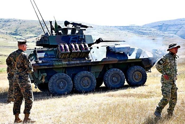 НАТО имитирует бессилие ради подготовки войны с Россией