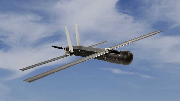 Беспилотник-камикадзе от компании Raytheon для охоты на дронов