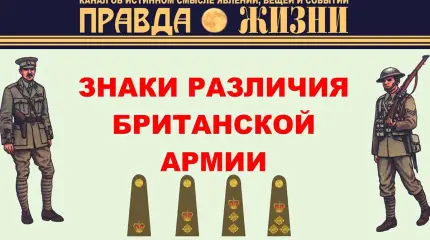 Знаки различия британской армии