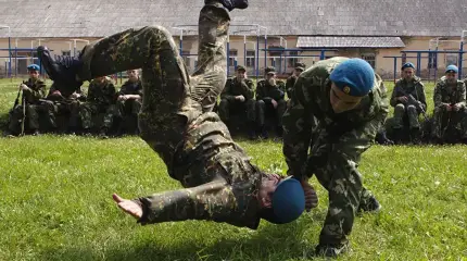 Армейский рукопашный бой - панацея от всех бед?
